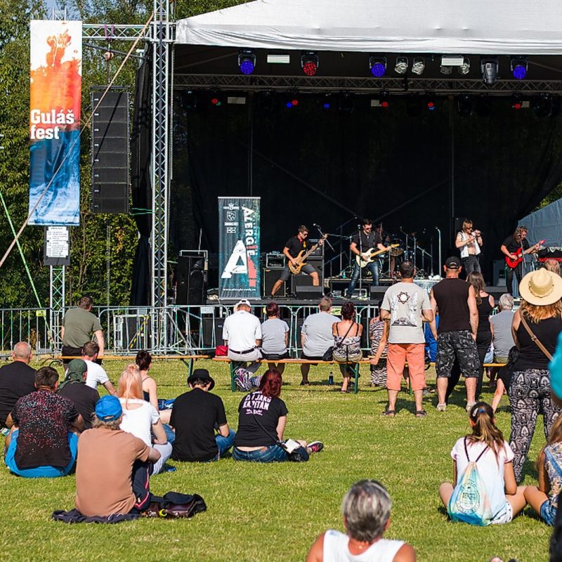 ALERGE - Gulášfest 2019 Valašské Meziříčí – Foto Petra Mušínská (30)