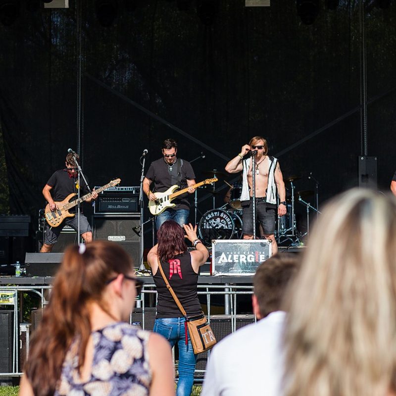 ALERGE - Gulášfest 2019 Valašské Meziříčí – Foto Petra Mušínská (7)