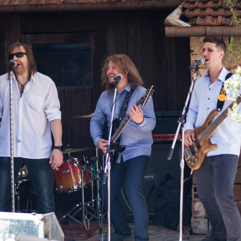 Alergie & Limetal - Svatba Němčice 7.7 (10)