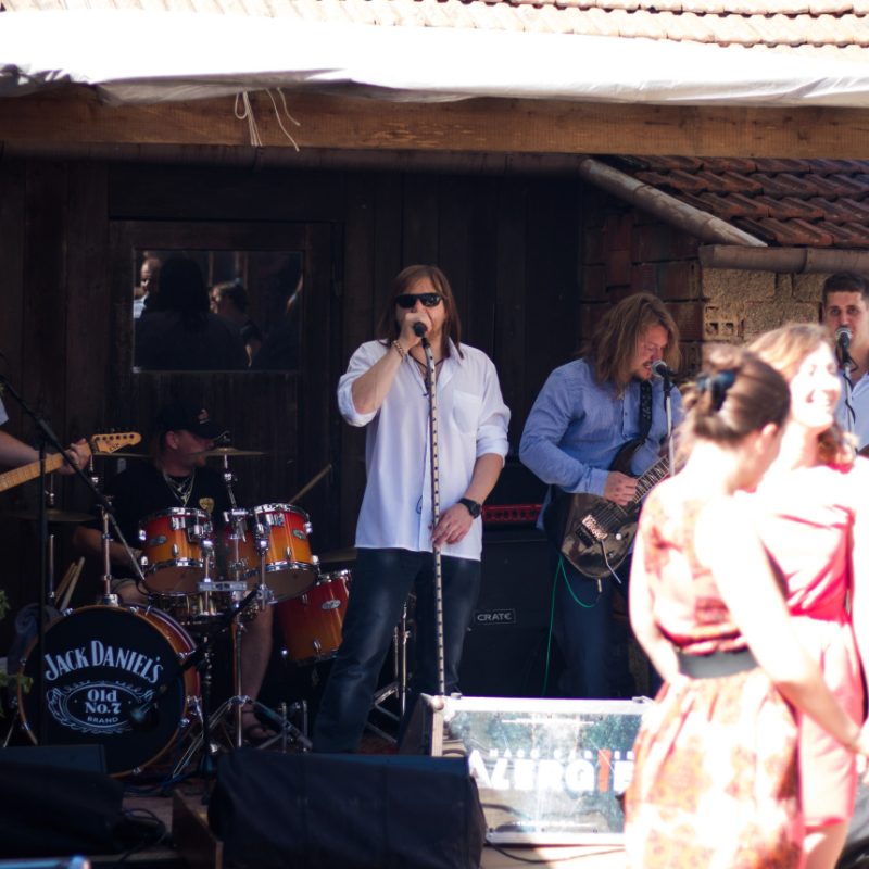 Alergie & Limetal - Svatba Němčice 7.7 (9)