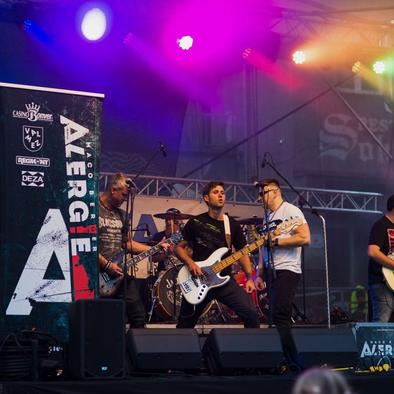 Alergie - Petrvaldský otvirak (40)