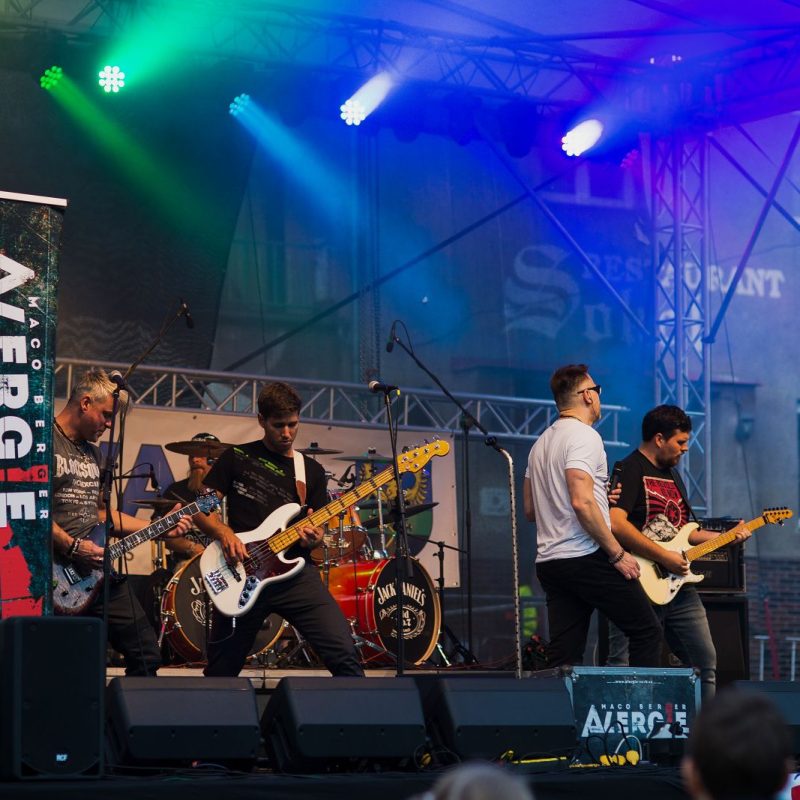 Alergie - Petrvaldský otvirak (41)